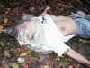 http://www.princes-horror-central.com/customphotosetsthumbs/tn_customphotosets00042.jpg