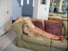 http://www.princes-horror-central.com/customphotosetsthumbs/tn_customphotosets00191.jpg