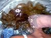 http://www.princes-horror-central.com/customphotosetsthumbs/tn_customphotosets00217.jpg