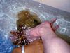 http://www.princes-horror-central.com/customphotosetsthumbs/tn_customphotosets00223.jpg