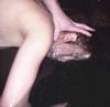 http://www.princes-horror-central.com/customphotosetsthumbs/tn_customphotosets00269.jpg
