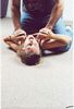 http://www.princes-horror-central.com/customphotosetsthumbs/tn_customphotosets00333.jpg