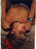 http://www.princes-horror-central.com/customphotosetsthumbs/tn_customphotosets00447.jpg