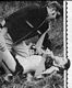 http://www.princes-horror-central.com/detectiveinsidethumbs/tn_detectiveinside00051.jpg