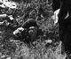 http://www.princes-horror-central.com/detectiveinsidethumbs/tn_detectiveinside00125.jpg