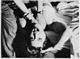 http://www.princes-horror-central.com/detectiveinsidethumbs/tn_detectiveinside00152.jpg