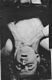 http://www.princes-horror-central.com/detectiveinsidethumbs/tn_detectiveinside00168.jpg