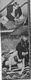http://www.princes-horror-central.com/detectiveinsidethumbs/tn_detectiveinside00211.jpg