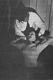 http://www.princes-horror-central.com/detectiveinsidethumbs/tn_detectiveinside00216.jpg