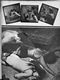 http://www.princes-horror-central.com/detectiveinsidethumbs/tn_detectiveinside00227.jpg