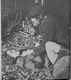 http://www.princes-horror-central.com/detectiveinsidethumbs/tn_detectiveinside00306.jpg