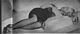 http://www.princes-horror-central.com/detectiveinsidethumbs/tn_detectiveinside00338.jpg