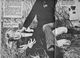 http://www.princes-horror-central.com/detectiveinsidethumbs/tn_detectiveinside00425.jpg