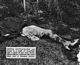 http://www.princes-horror-central.com/detectiveinsidethumbs/tn_detectiveinside00447.jpg