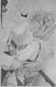 http://www.princes-horror-central.com/detectiveinsidethumbs/tn_detectiveinside00592.jpg