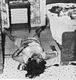 http://www.princes-horror-central.com/detectiveinsidethumbs/tn_detectiveinside00634.jpg
