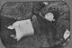 http://www.princes-horror-central.com/detectiveinsidethumbs/tn_detectiveinside00692.jpg