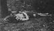 http://www.princes-horror-central.com/detectiveinsidethumbs/tn_detectiveinside00752.jpg