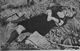 http://www.princes-horror-central.com/detectiveinsidethumbs/tn_detectiveinside00753.jpg