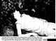 http://www.princes-horror-central.com/detectiveinsidethumbs/tn_detectiveinside00791.jpg