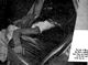 http://www.princes-horror-central.com/detectiveinsidethumbs/tn_detectiveinside00792.jpg