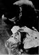 http://www.princes-horror-central.com/detectiveinsidethumbs/tn_detectiveinside00799.jpg