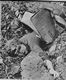 http://www.princes-horror-central.com/detectiveinsidethumbs/tn_detectiveinside00841.jpg
