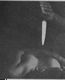 http://www.princes-horror-central.com/detectiveinsidethumbs/tn_detectiveinside00874.jpg