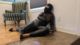 tn_dariasdeath010.jpg