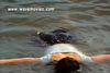 http://www.princes-horror-central.com/wavethumbs/tn_wave00034.jpg